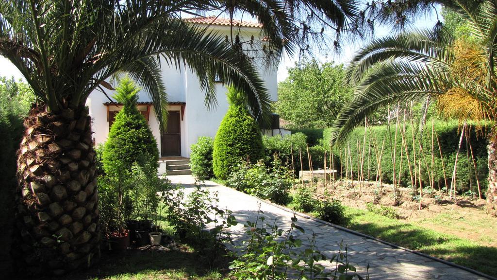 El Villa Pelion Chorto Zewnętrze zdjęcie